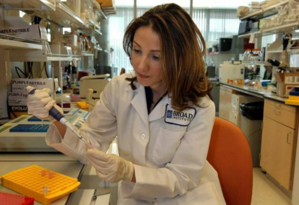  پردیس ثابتی